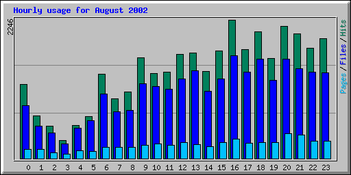 Hourly usage for August 2002