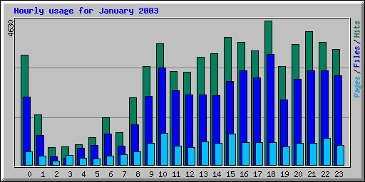 Hourly usage for January 2003